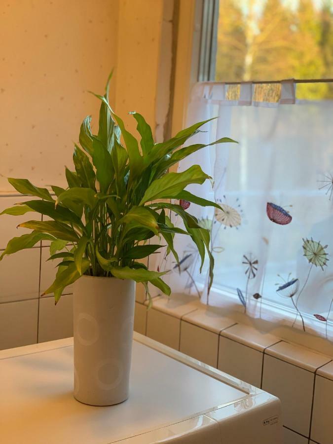 Cozy House In Kosta Center Surrounding With Swedish Nature Exteriér fotografie