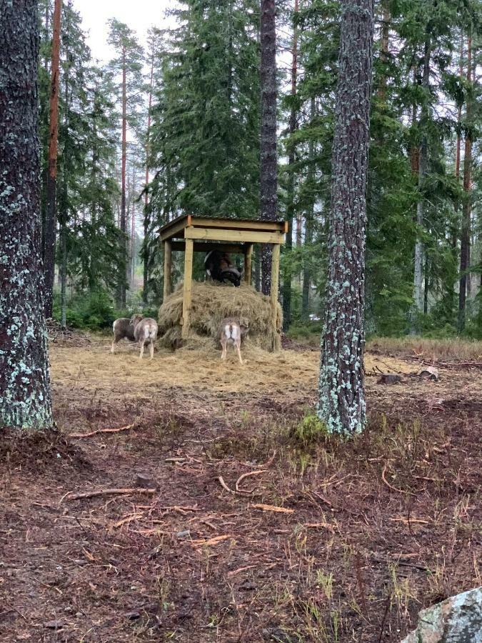 Cozy House In Kosta Center Surrounding With Swedish Nature Exteriér fotografie
